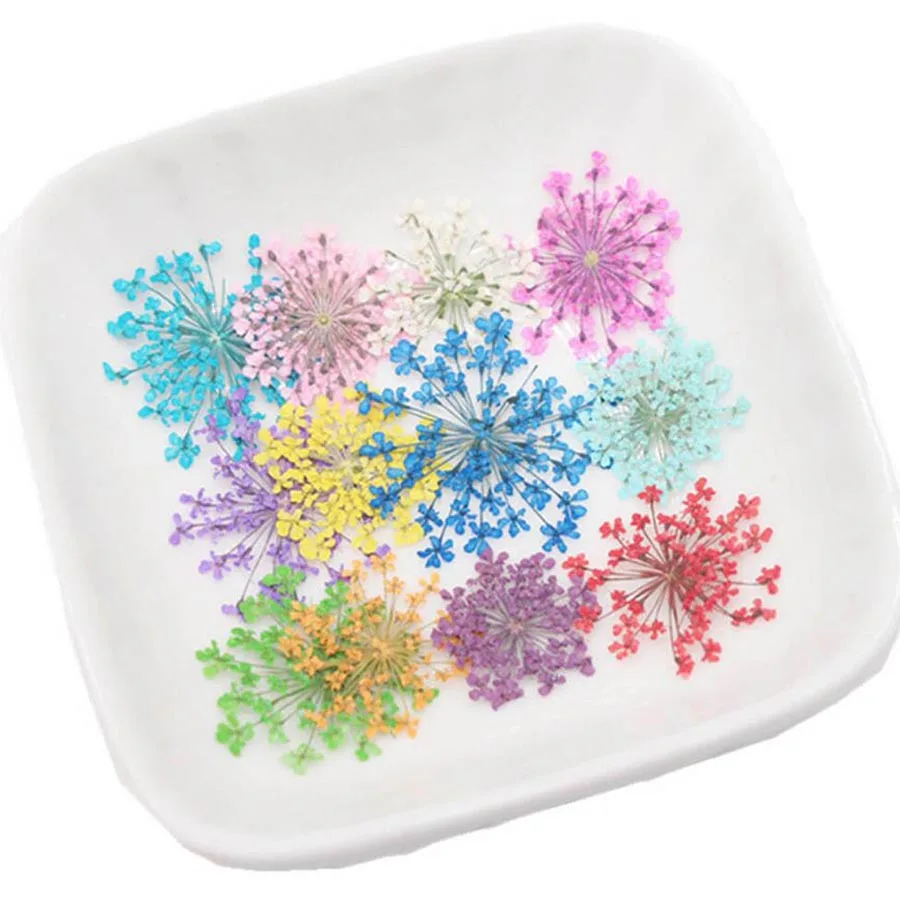 60pcs Geperst Gedroogde 20-25m - Dried Flower Bookmark recensie en prijs